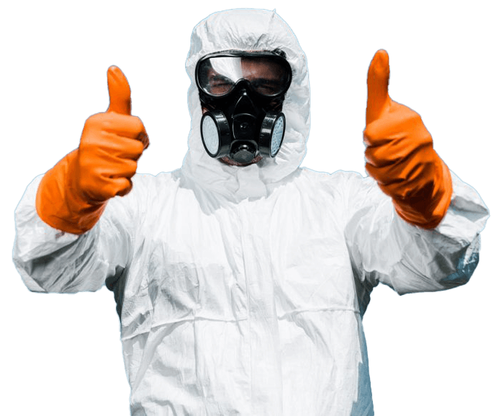 summer-pest-control